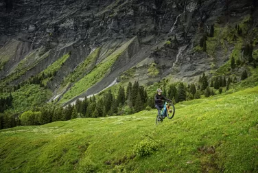 Giant Group Accelerates Progress Toward 2030 Sustainability Goals with Strong 2024 Results
