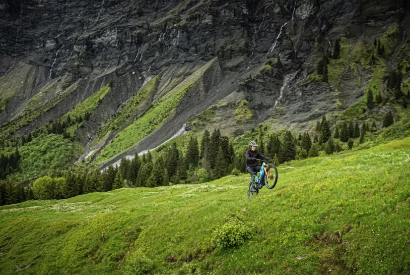 巨大集團2024年永續成果亮眼 提前六年達成2030年減碳目標 加速永續轉型